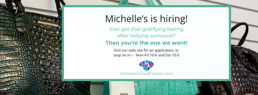 Michelles Hybrid Fashion