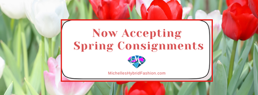 Michelles Hybrid Fashion